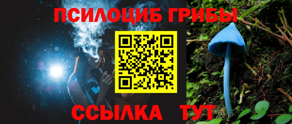Псилоцибиновые грибы MAGIC MUSHROOMS Рассказово