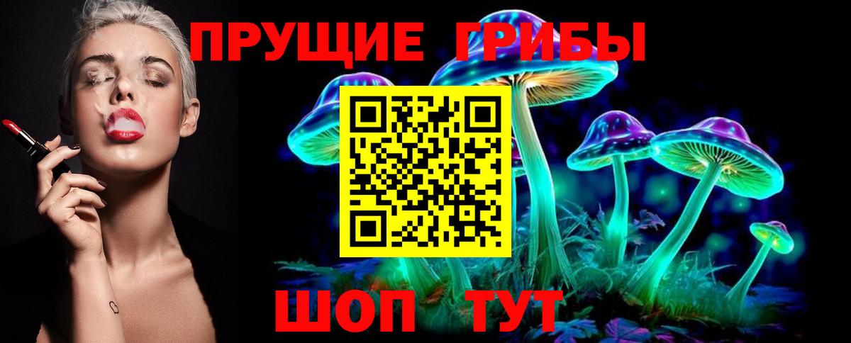 Рассказово  Псилоцибиновые грибы Psilocybine cubensis  Вход с VPN 